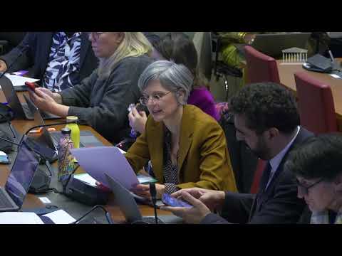 Victoire. Nos amendements pour développer des lignes de train dans les territoires ultramarins ont été adoptés en commission.