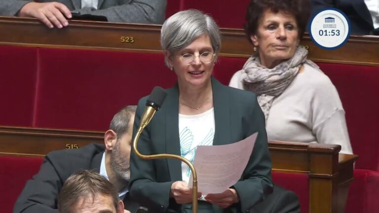Le projet gazier de Total doit être saisi par la justice