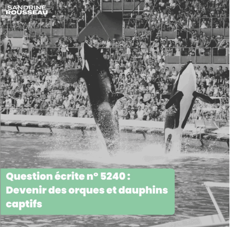Fermeture du Marineland : j’interroge le gouvernement sur le sort des orques et dauphins captifs 