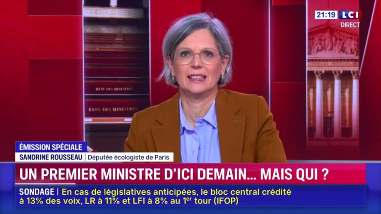 Israël doit libérer l’eurodéputée Mélissa Camara !